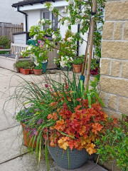 Pictures to cheer people up 😃