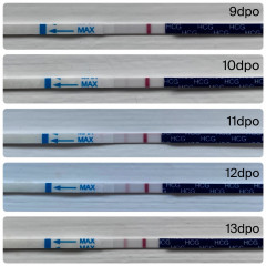 7DPO thread 2