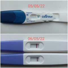 Chemical pregnancy