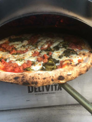 Anyone own a pizza oven?