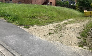 New garden, just grass - WWYD
