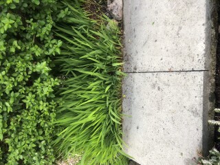 Help id this ?