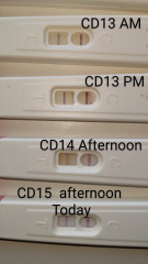 Help with reading ovulation tests