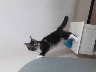 Cancer support thread #82