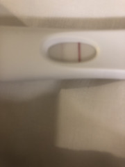 Preparing to TTC in 2022