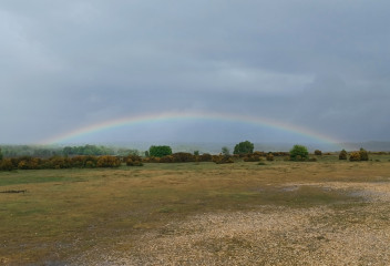 Come chat hiking with me!