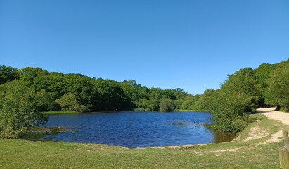 Come chat hiking with me!