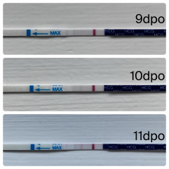9dpo - Am I imagining things? 