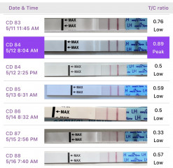 Could I have ovulated 2 weeks after MMC with some HCG left?  