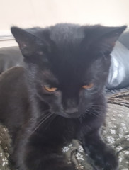 Pictures to cheer people up 😃