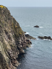 Come chat hiking with me!