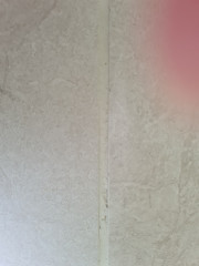 Problem with grout?