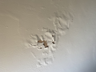 Peeling paint- damp? What to do?