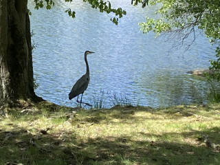 Come and tell me your dull and unexciting news 22: Calmly through the day