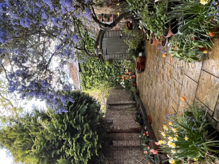 To ask how to make an ugly garden pretty 