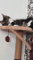 Cancer support thread #82