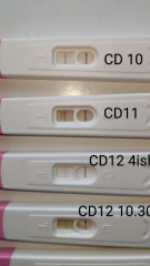 Help with reading ovulation tests