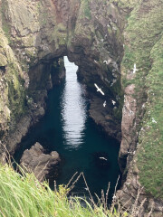 Come chat hiking with me!