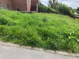 New garden, just grass - WWYD