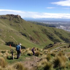 Come chat hiking with me!