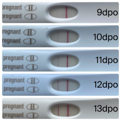 For anybody interested in line progression and maybe I’m secretly after some reassurance?