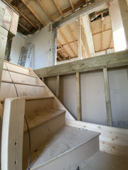 Extension Thread 2022....plaster, panic and pics