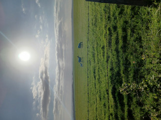 Come chat hiking with me!