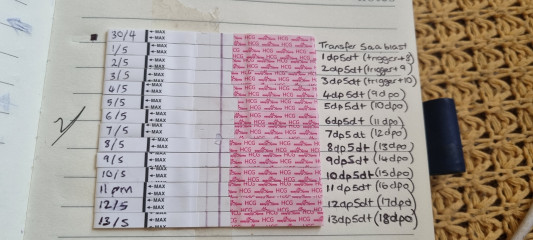 Line Eyes please. Is this OK for 6dp5dt (equivalent of 11dpo)