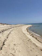 Algarve - apparently there are islands off the coast?  Anyone been?