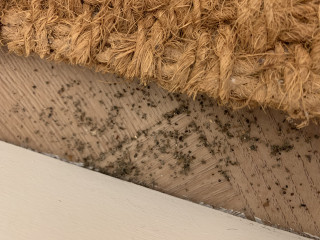 What is this?