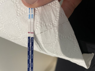 OVUSENSE (ovucore)