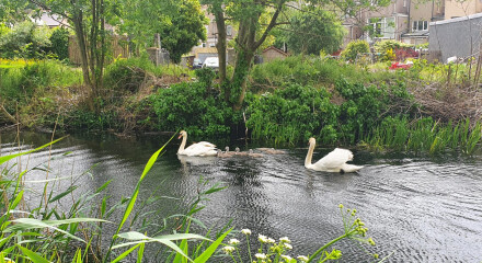 Come and tell me your dull and unexciting news 22: Calmly through the day