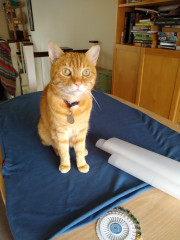 Stitch and bitch thread #4 I needle the help I can get.