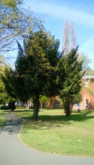Any good amateur photographers?