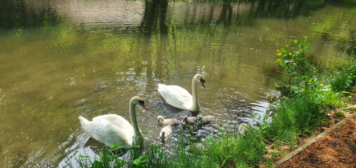 Come and tell me your dull and unexciting news 22: Calmly through the day