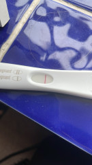 Positive clear blue and negative first response?