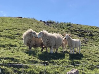 Come chat hiking with me!