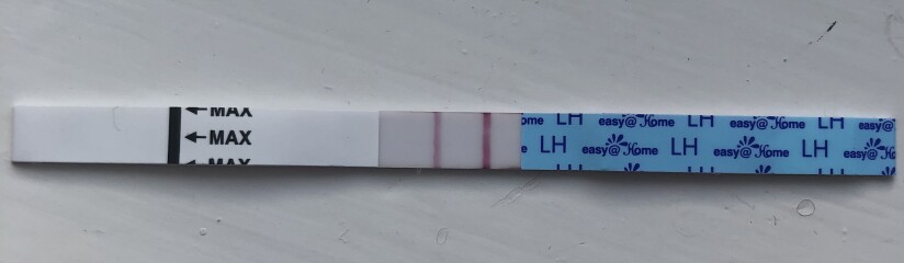 OPK advice