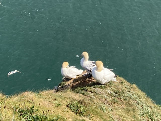 Come chat hiking with me!