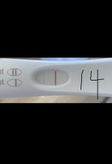 FRER test not getting darker?!?!