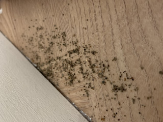 What is this?