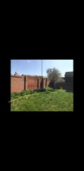 Need ideas for this messy garden! 