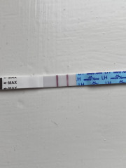 OVUSENSE (ovucore)