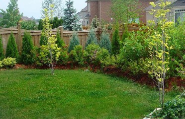 Need ideas for this messy garden! 