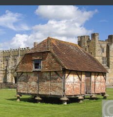 A large rat at the bird table this morning...