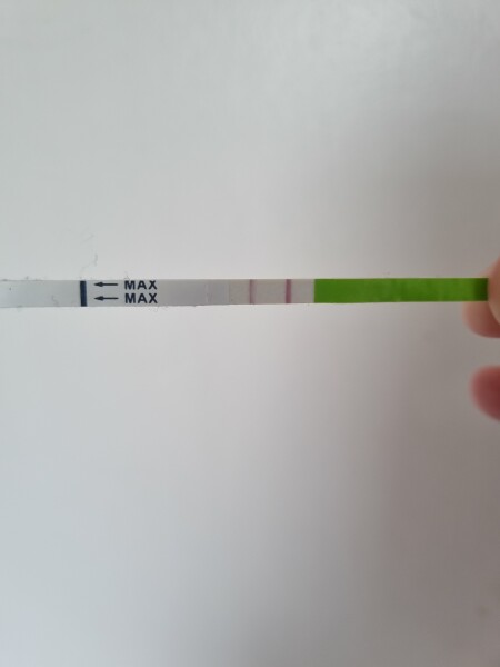 Is this positive ovulation test