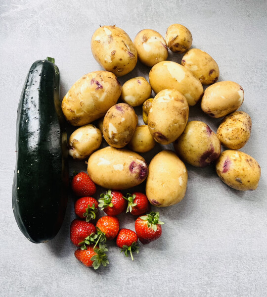 The Vegetable Patch