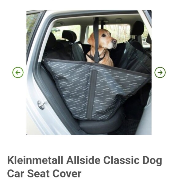 Advice on how to separate dog and baby in the car