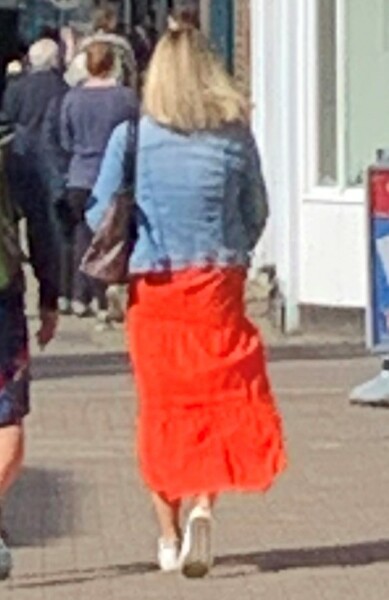 Please help me find a skirt like this