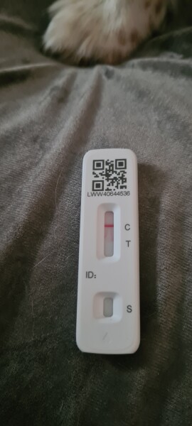 Another is this a line